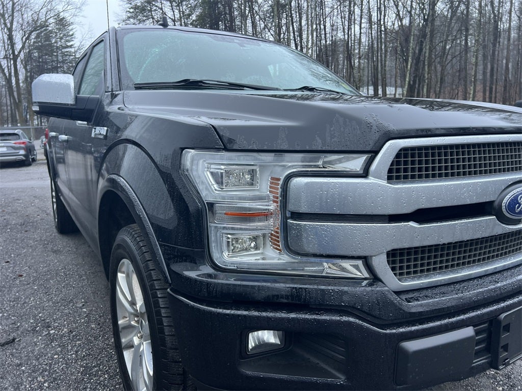 2019 Ford F-150 Platinum