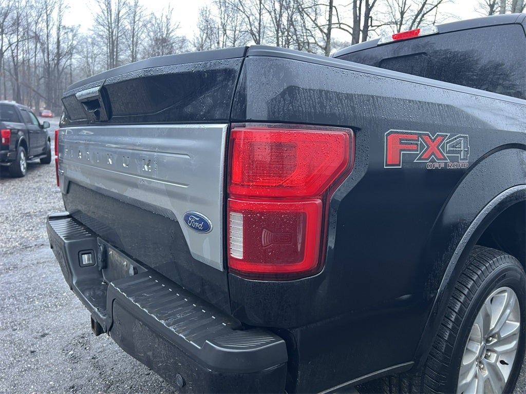 2019 Ford F-150 Platinum