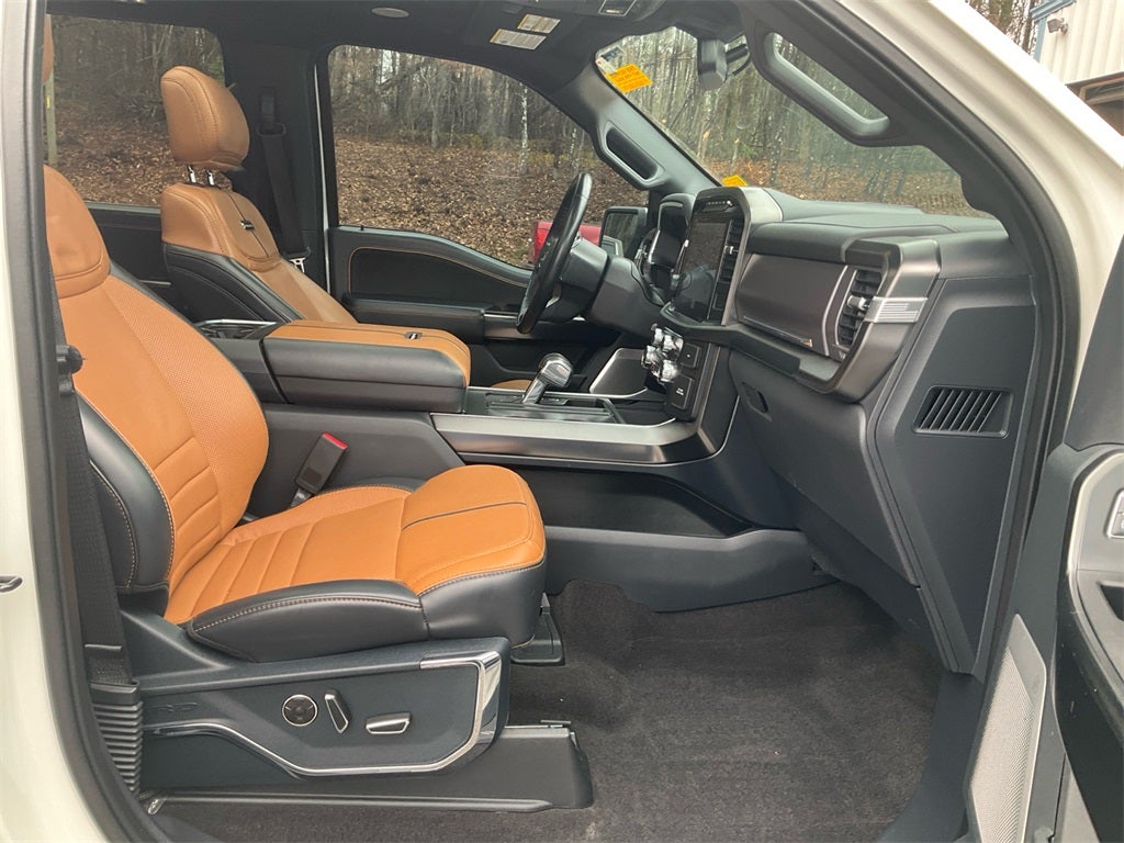 2021 Ford F-150 Platinum