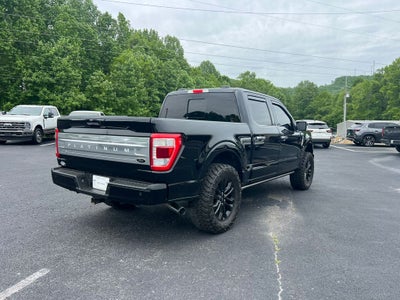 2021 Ford F-150 Platinum