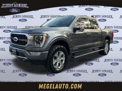 2022 Ford F-150 Platinum