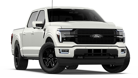 John Megel Ford in Cleveland GA