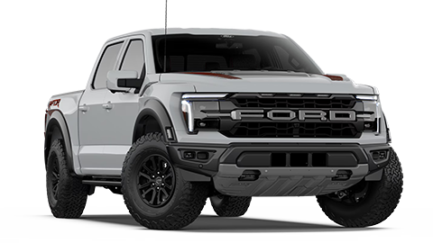 John Megel Ford in Cleveland GA