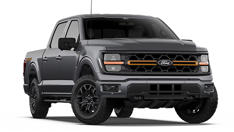 John Megel Ford in Cleveland GA
