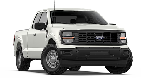 John Megel Ford in Cleveland GA