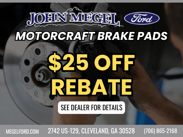 Motorcraft Brake Pads